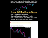 Forex All Weather Indicator